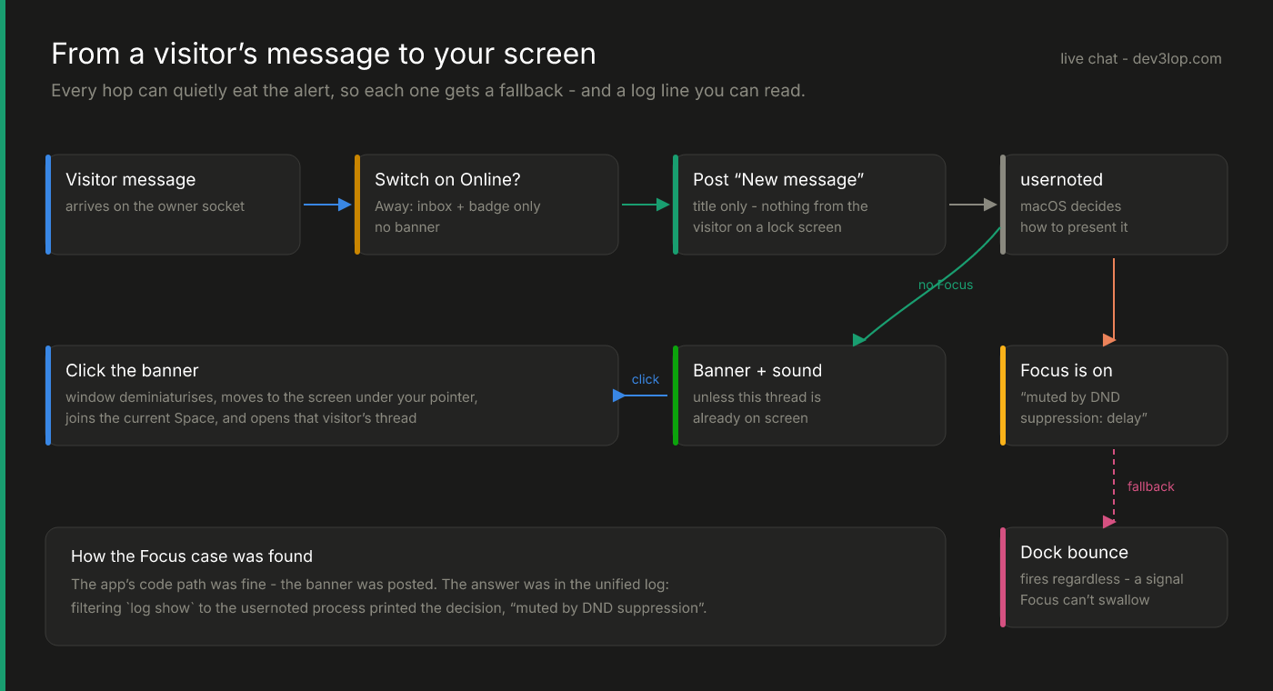 How a visitor message reaches the owner: the owner socket delivers it, the Online switch gates it, the app posts a title-only New message notification, usernoted decides presentation; with no Focus it becomes a banner and sound unless the thread is already on screen, with Focus on it is muted, the Dock bounce fires regardless, and clicking the banner brings the window to the screen under the pointer